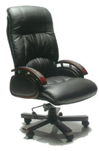 Sylex Vangelous Director Chair